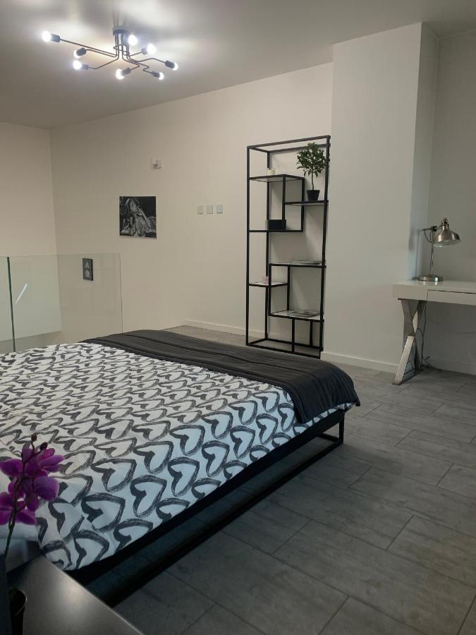 Ekskluzywny Penthouse Z Ogrodem W Centrum Lodzi ภายนอก รูปภาพ